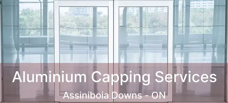  Aluminium Capping Services Assiniboia Downs - ON