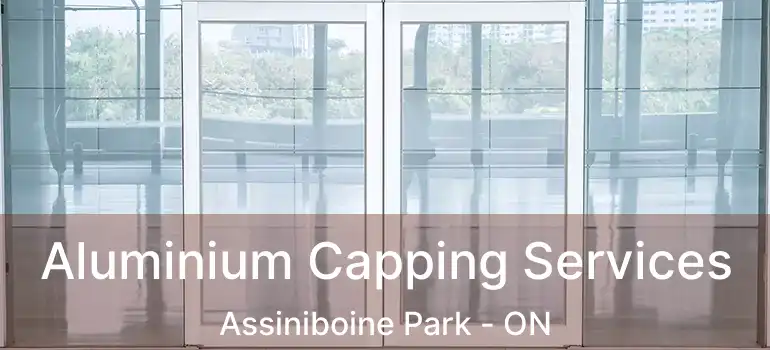  Aluminium Capping Services Assiniboine Park - ON
