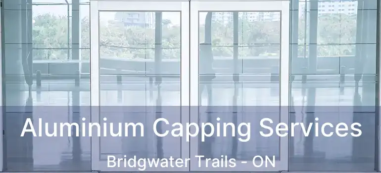 Aluminium Capping Services Bridgwater Trails - ON