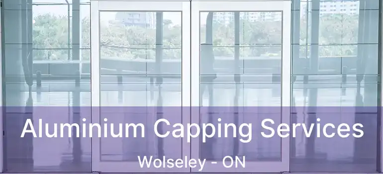  Aluminium Capping Services Wolseley - ON