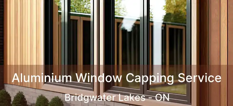  Aluminium Window Capping Service Bridgwater Lakes - ON