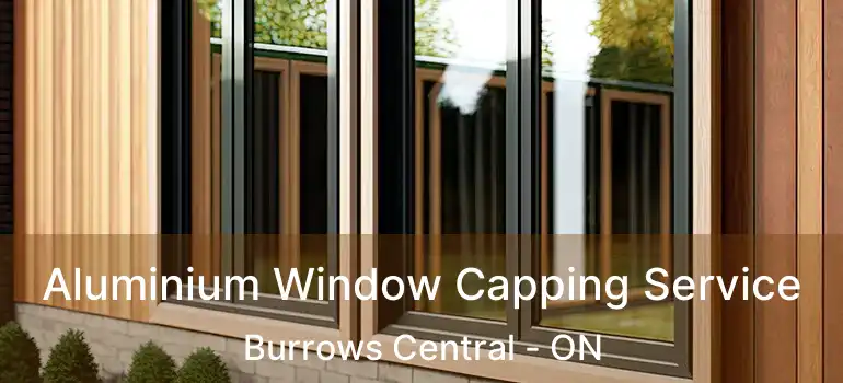  Aluminium Window Capping Service Burrows Central - ON