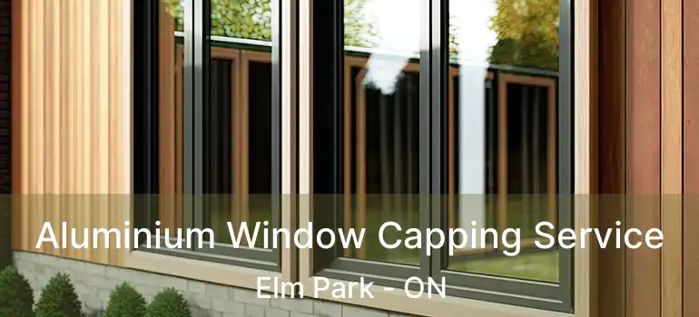  Aluminium Window Capping Service Elm Park - ON