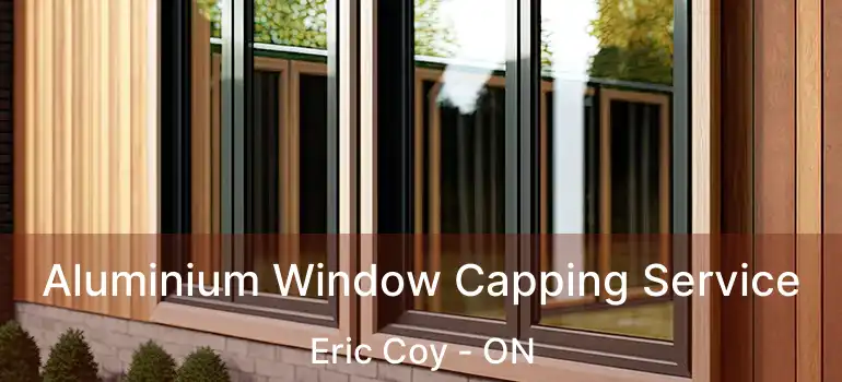  Aluminium Window Capping Service Eric Coy - ON
