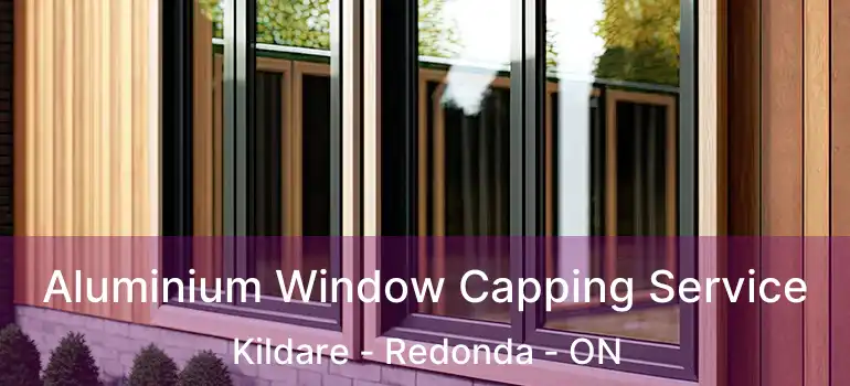  Aluminium Window Capping Service Kildare - Redonda - ON