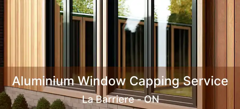  Aluminium Window Capping Service La Barriere - ON