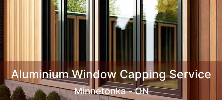  Aluminium Window Capping Service Minnetonka - ON