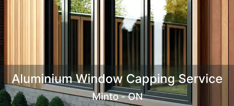  Aluminium Window Capping Service Minto - ON