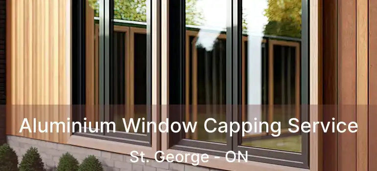  Aluminium Window Capping Service St. George - ON