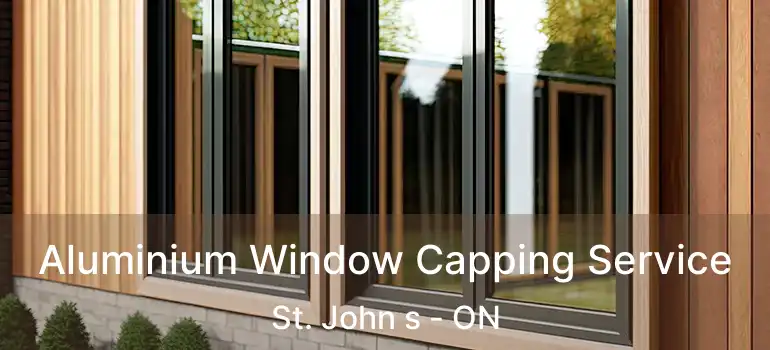  Aluminium Window Capping Service St. John s - ON