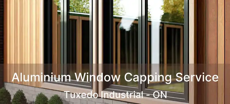  Aluminium Window Capping Service Tuxedo Industrial - ON