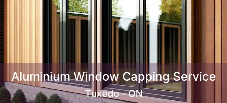  Aluminium Window Capping Service Tuxedo - ON