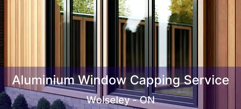  Aluminium Window Capping Service Wolseley - ON