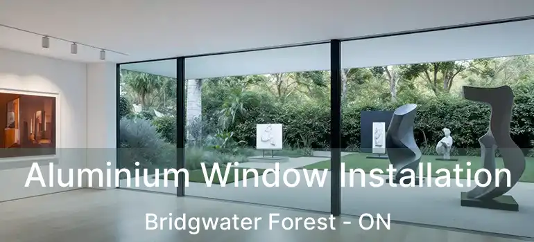  Aluminium Window Installation Bridgwater Forest - ON