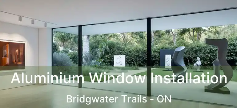  Aluminium Window Installation Bridgwater Trails - ON