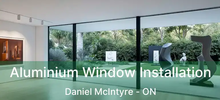  Aluminium Window Installation Daniel McIntyre - ON
