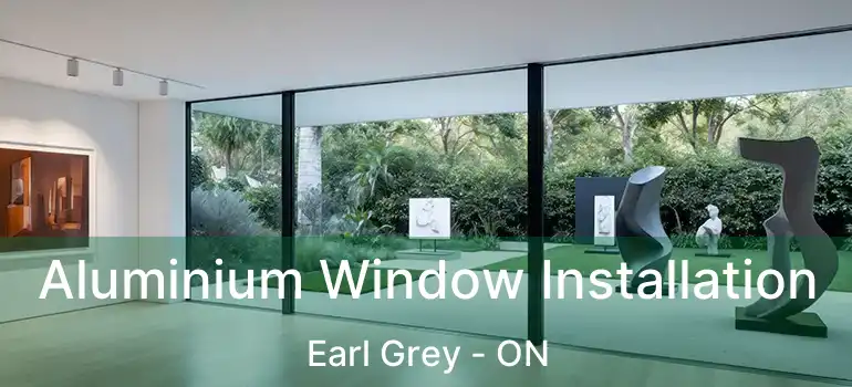  Aluminium Window Installation Earl Grey - ON