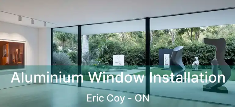  Aluminium Window Installation Eric Coy - ON