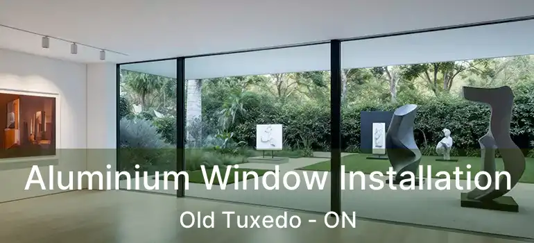  Aluminium Window Installation Old Tuxedo - ON