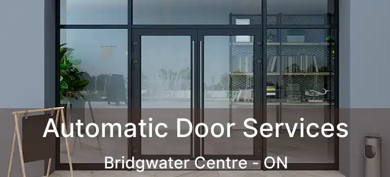  Automatic Door Services Bridgwater Centre - ON