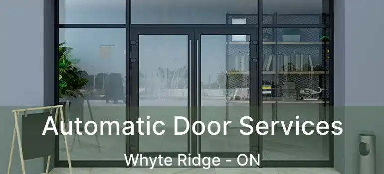  Automatic Door Services Whyte Ridge - ON