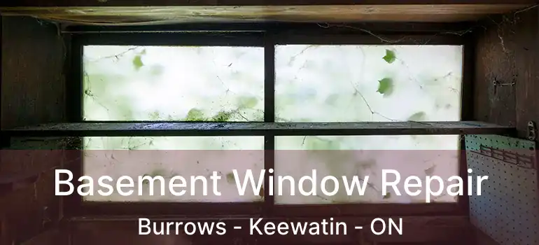  Basement Window Repair Burrows - Keewatin - ON