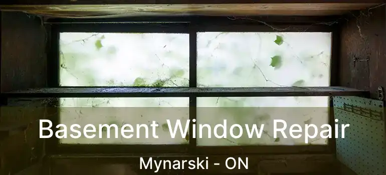  Basement Window Repair Mynarski - ON