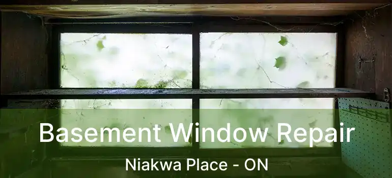  Basement Window Repair Niakwa Place - ON