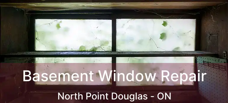  Basement Window Repair North Point Douglas - ON