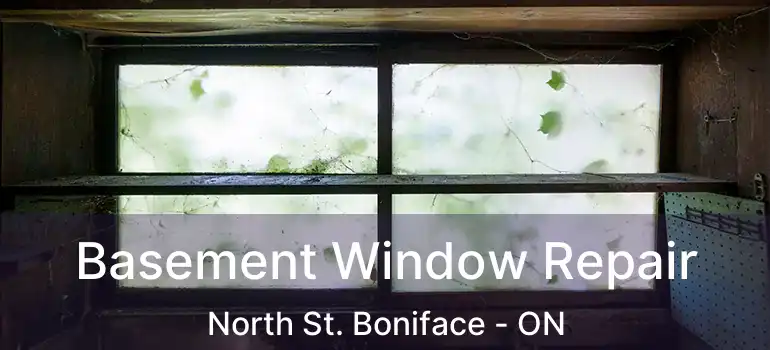  Basement Window Repair North St. Boniface - ON