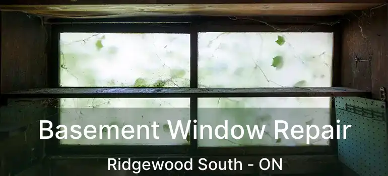  Basement Window Repair Ridgewood South - ON