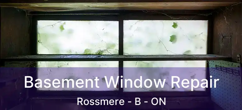  Basement Window Repair Rossmere - B - ON