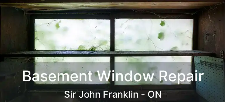 Basement Window Repair Sir John Franklin - ON