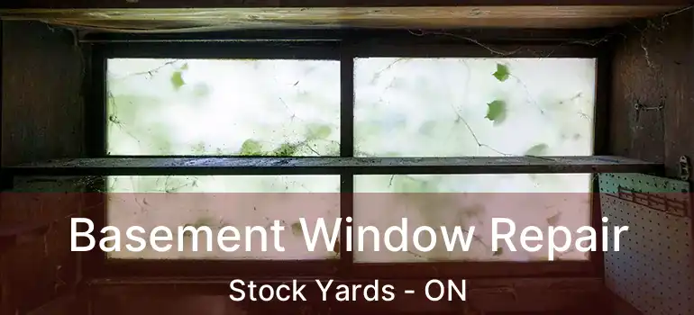  Basement Window Repair Stock Yards - ON