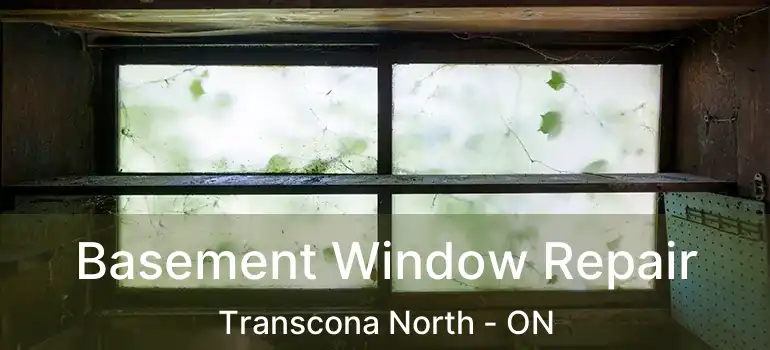  Basement Window Repair Transcona North - ON