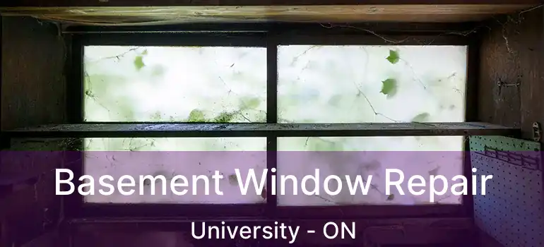  Basement Window Repair University - ON