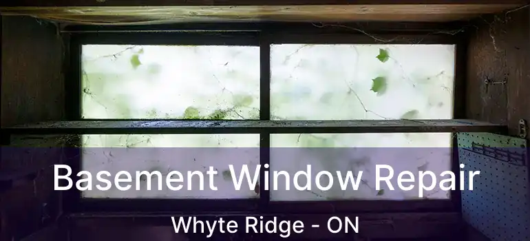  Basement Window Repair Whyte Ridge - ON