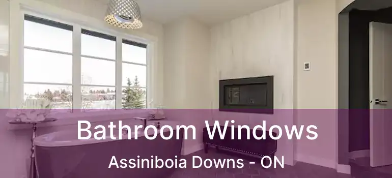  Bathroom Windows Assiniboia Downs - ON
