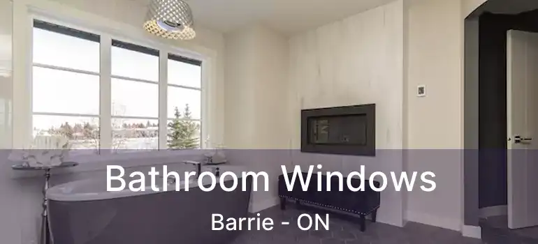  Bathroom Windows Barrie - ON