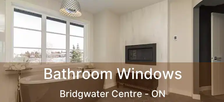  Bathroom Windows Bridgwater Centre - ON