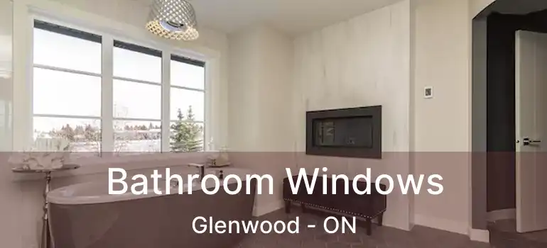  Bathroom Windows Glenwood - ON