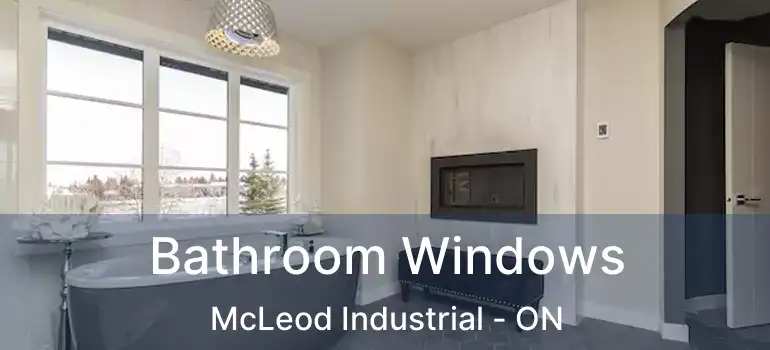  Bathroom Windows McLeod Industrial - ON