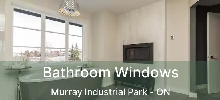  Bathroom Windows Murray Industrial Park - ON