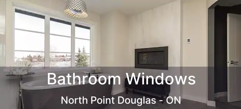  Bathroom Windows North Point Douglas - ON