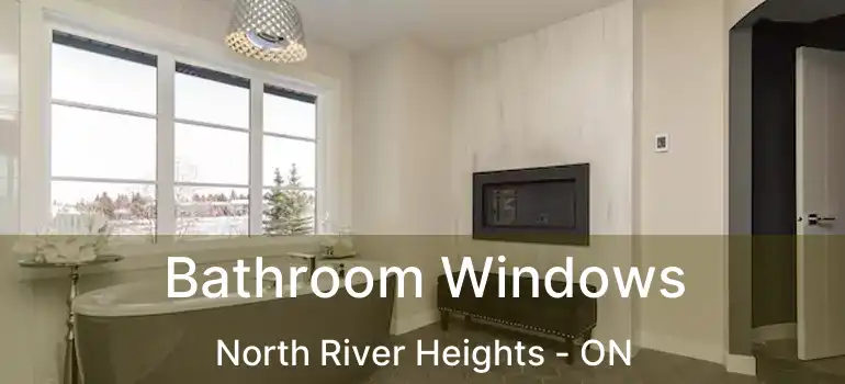  Bathroom Windows North River Heights - ON
