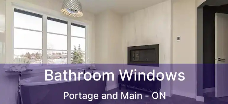  Bathroom Windows Portage and Main - ON