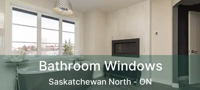  Bathroom Windows Saskatchewan North - ON