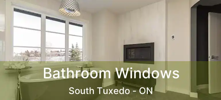  Bathroom Windows South Tuxedo - ON