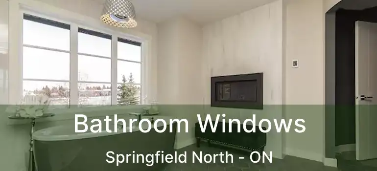  Bathroom Windows Springfield North - ON