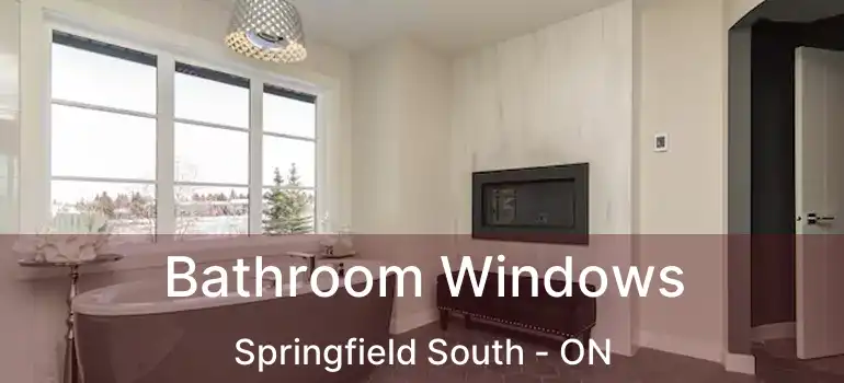  Bathroom Windows Springfield South - ON